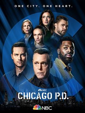 芝加哥警署 第九季第01集