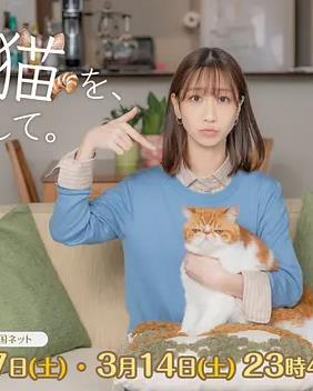 我收留了前男友的猫