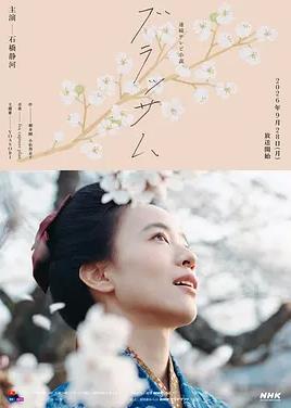 花朵盛开